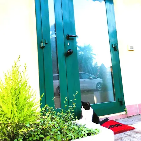 Il Sorriso Piano Terra A 5m Da Maria Cecilia Hospital Lejlighed Lugo (Ravenna)