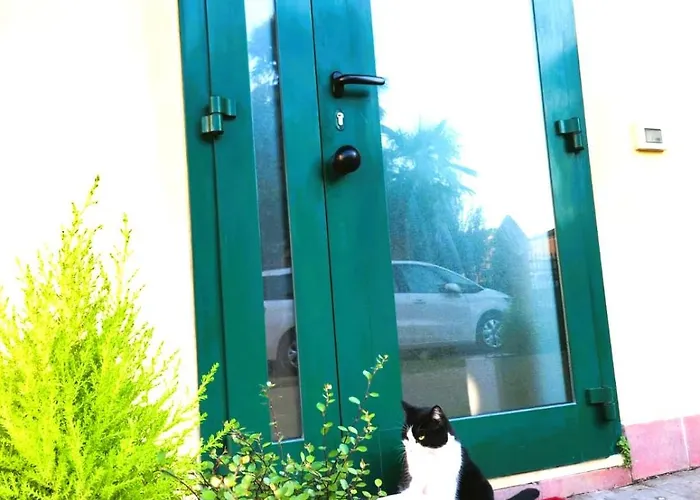 Il Sorriso Piano Terra A 5m Da Maria Cecilia Hospital Lejlighed Lugo (Ravenna)